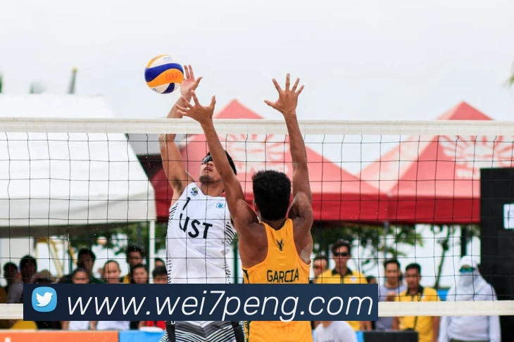 开云手机登录官网入口平台生态图